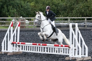 Class 5 - Fences not above 2'6